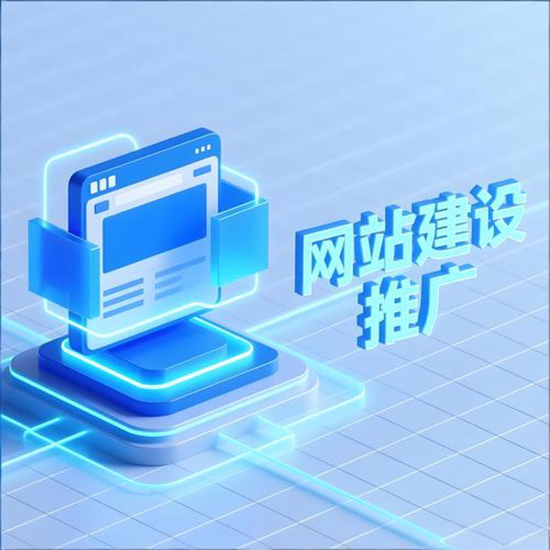 贵州网络技术公司引领未来数字之花